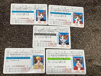 なめ猫 免許証6枚Fullセット♪+ α （復刻版）オマケ なめ猫 免許証6枚Fullセット♪+ α （復刻版）オマケ - メルカリ